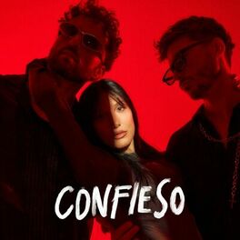 Album cover of Confieso