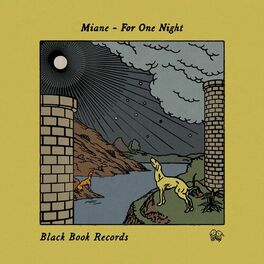 Album cover of For One Night