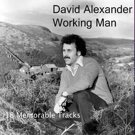 Album cover of Working Man