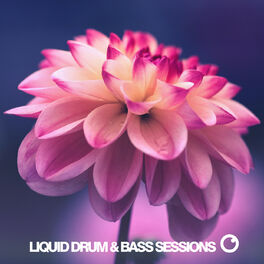 Album cover of Liquid Drum & Bass Sessions 2020 Vol 9