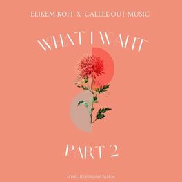 Album cover of What I Want II (feat. CalledOut Music)
