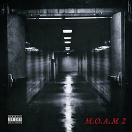 Album cover of M.O.A.M 2