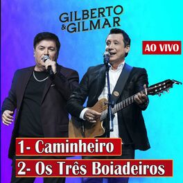 Album cover of Caminheiro / Os Três Boiadeiros (Ao Vivo)