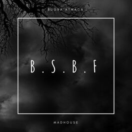 Album cover of B.S.B.F