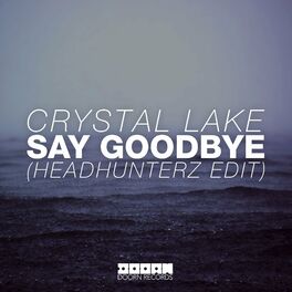 Album cover of Say Goodbye (Headhunterz Radio Edit)
