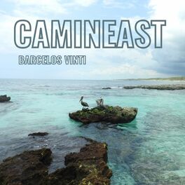 Album cover of Camineast