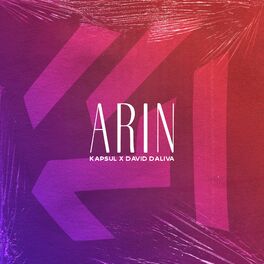 Album cover of Arin