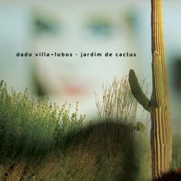 Album cover of Jardim de Cactus