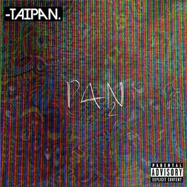 Album cover of P.A.N 2
