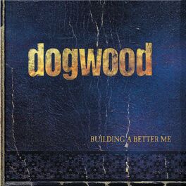 Album cover of Building A Better Me