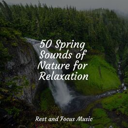 Album cover of 50 Spring Sounds of Nature for Relaxation