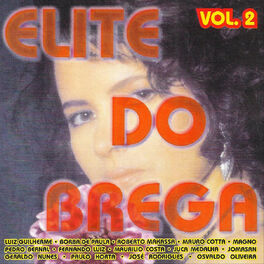 Album cover of Elite do Brega, Vol. 2