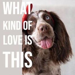 Album cover of What Kind Of Love Is This