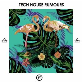 Album cover of Tech House Rumours, Vol. 11