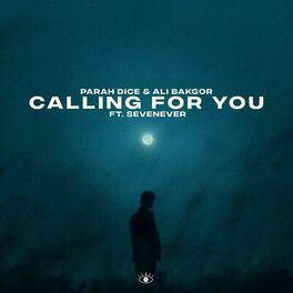 Album cover of Calling For You