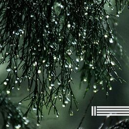 Album cover of Pluie Pour Un Meilleur Sommeil