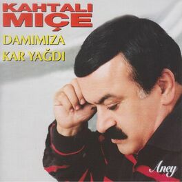 Album cover of Damımıza Kar Yağdı