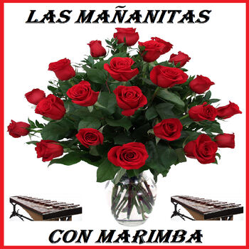 Las Mananitas - Mañanitas a Mi Padre: listen with lyrics | Deezer