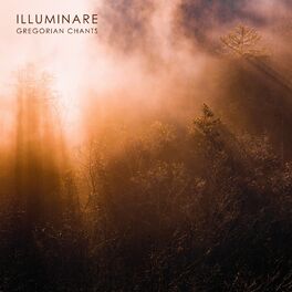 Album cover of Illuminare: Gregorian Chants