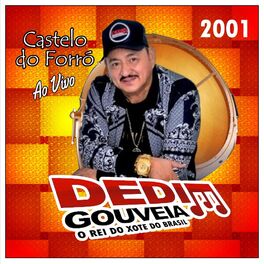Album cover of No Castelo do Forró Ao Vivo - 2001