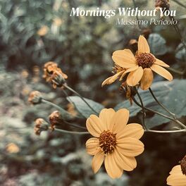 Album cover of Mornings Without You