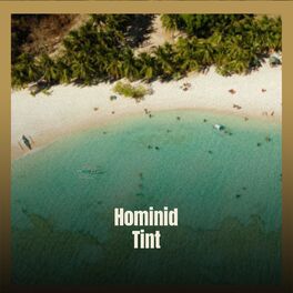 Album cover of Hominid Tint