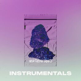 Album cover of Northern Lights Instrumental - EP