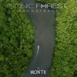 Album cover of Sonic Forest