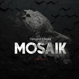 Album cover of Mosaik