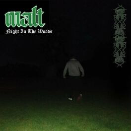 Album cover of Night in the Woods