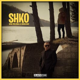 Album cover of Shko