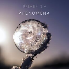 Album cover of Phenomena