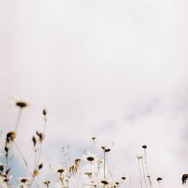 Album cover of Her