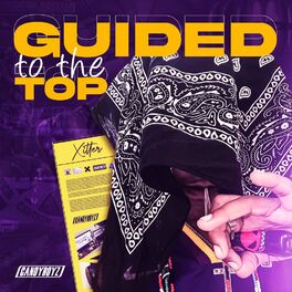 Album cover of Guided To The Top