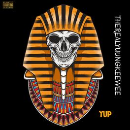 Album cover of Yup