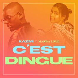 Album cover of C'est dingue