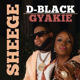 Album cover of Sheege