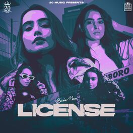 Album cover of License