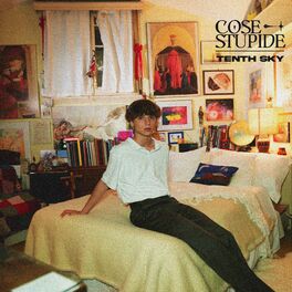 Album cover of Cose stupide