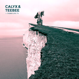 Album cover of FABRICLIVE 76: Calyx & TeeBee