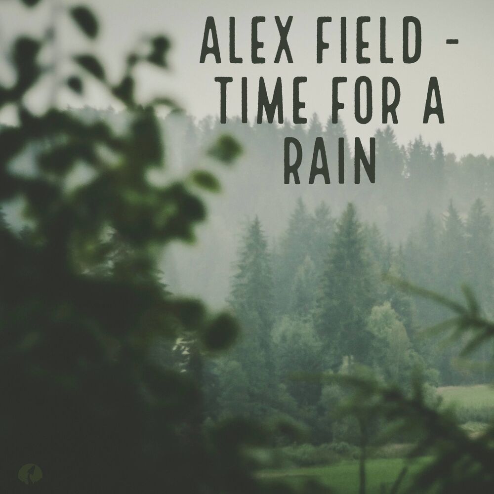 Time field