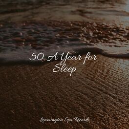 Album cover of 50 A Year for Sleep