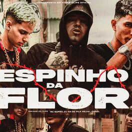 Album cover of Espinho da Flor (feat. Mc Romeu)