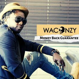Album cover of Money Back Guarantee