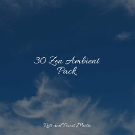 Album cover of 30 Zen Ambient Pack