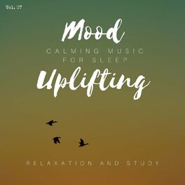 Album cover of Mood Uplifting - Calming Music For Sleep, Relaxation And Study, Vol. 07