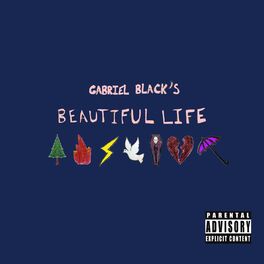 Album cover of beautiful life