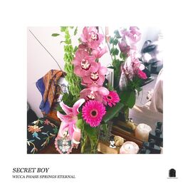 Album cover of Secret Boy