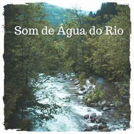 Album cover of Som de Água do Rio