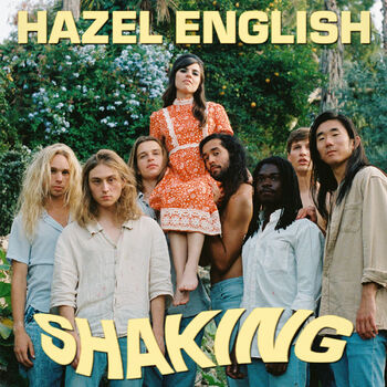 Shaking cover
